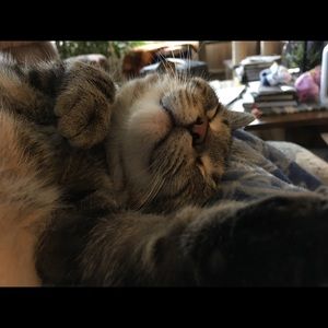 Meet your Posher, Pam